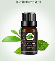 100% Pure Essential Oil Blend – 10ml | Spa, Aromatherapy, Massage & Skincare