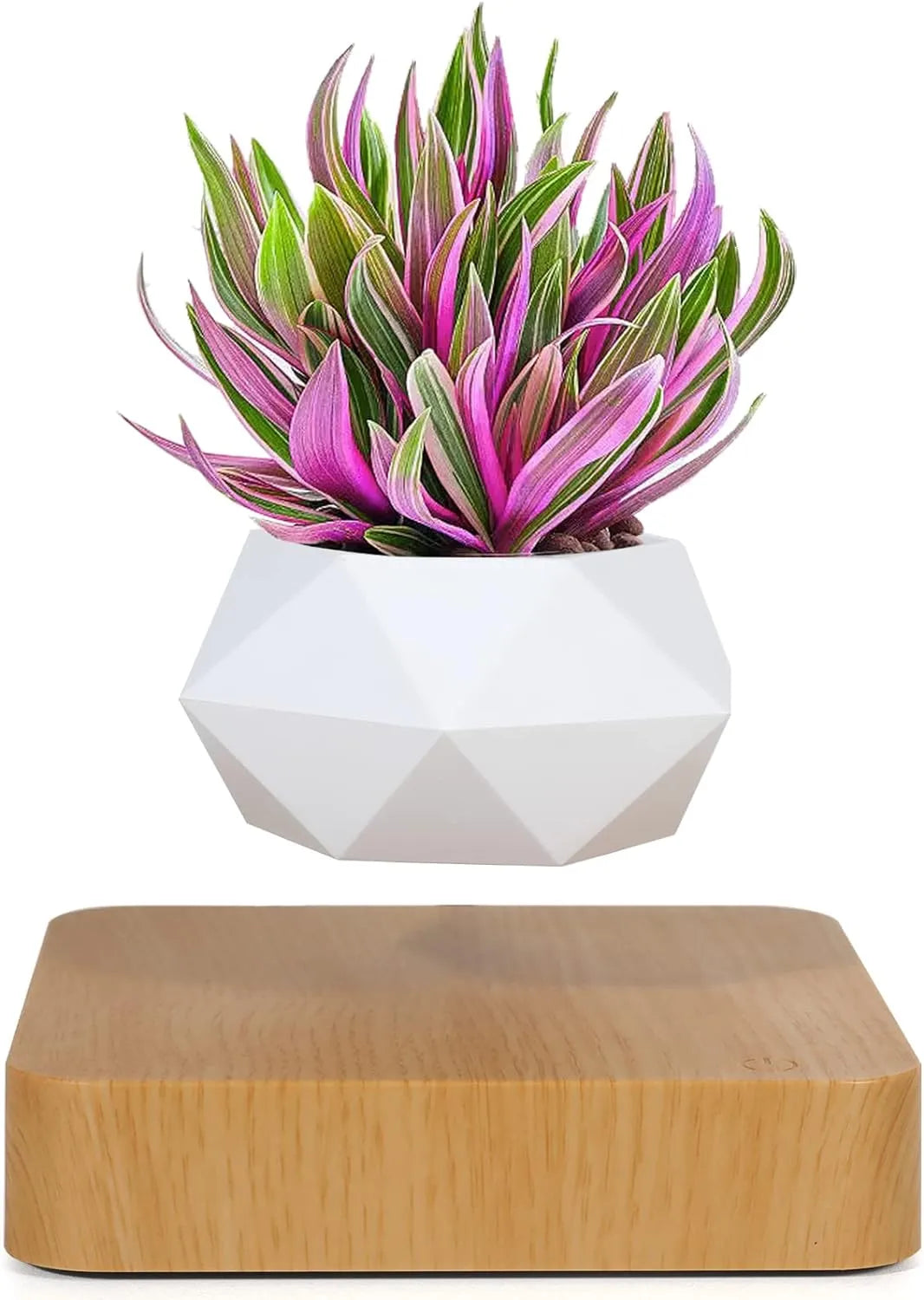 LeviFlora Floating Plant Pot